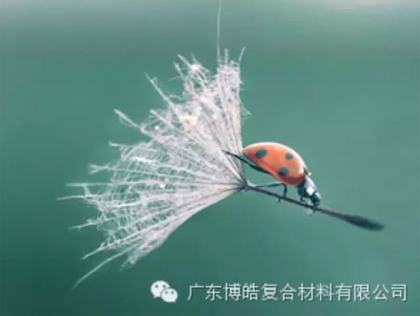 【博皓感悟】成功，要“借力”，不要“盡力”